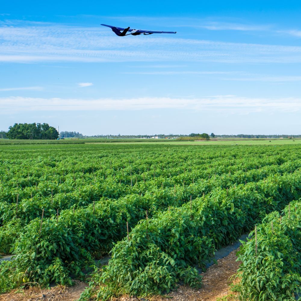 The xRAI flying over agricultural fields